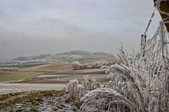 Winternebel