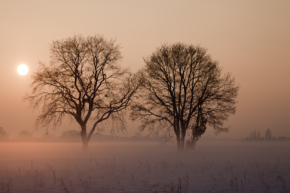 Winternebel