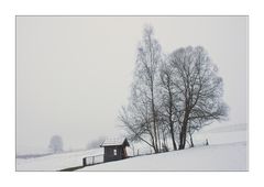 WINTERNEBEL...