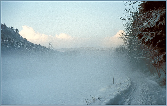 Winternebel