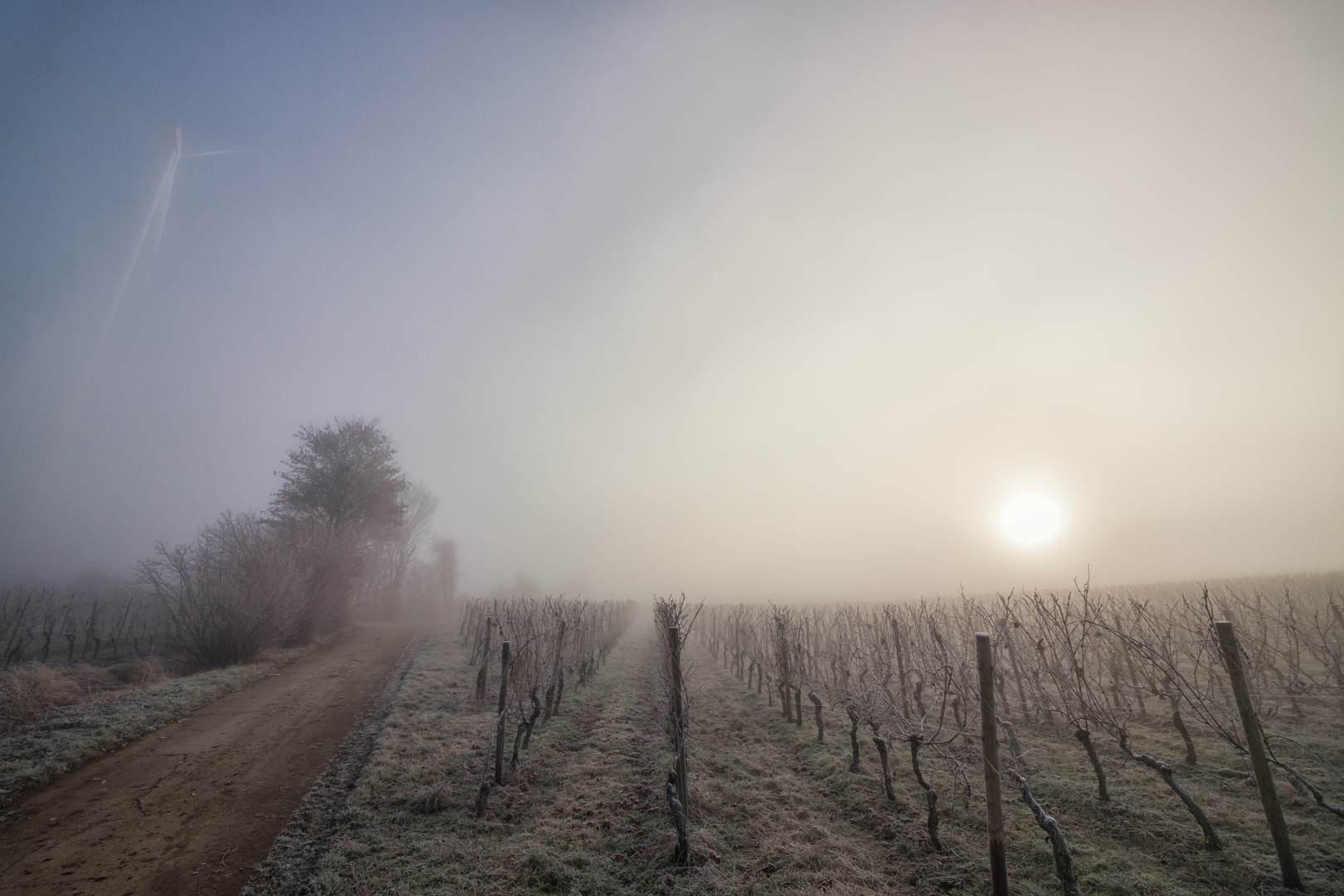 Winternebel