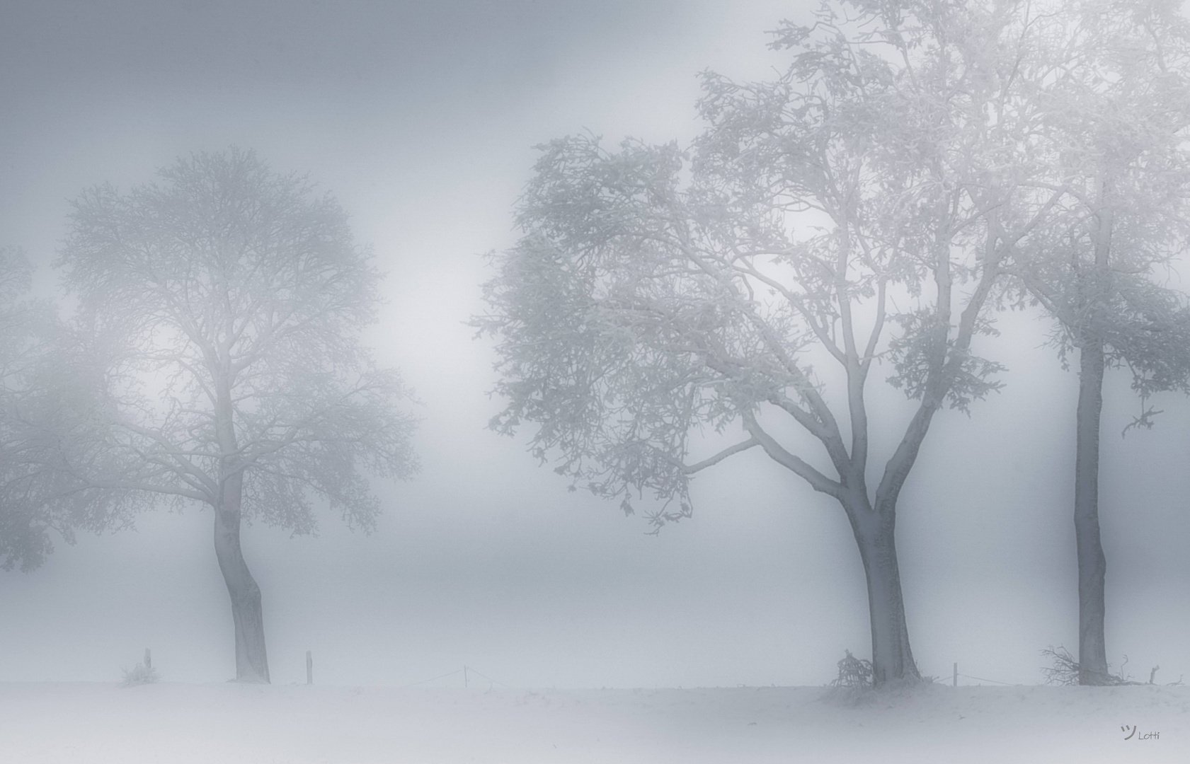 Winternebel