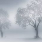 Winternebel