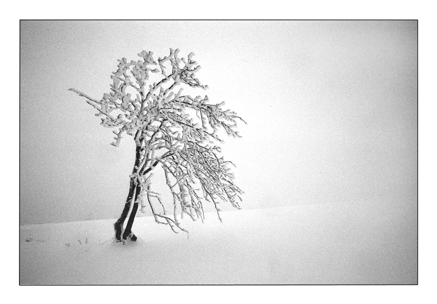 Winternebel 5