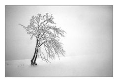 Winternebel 5