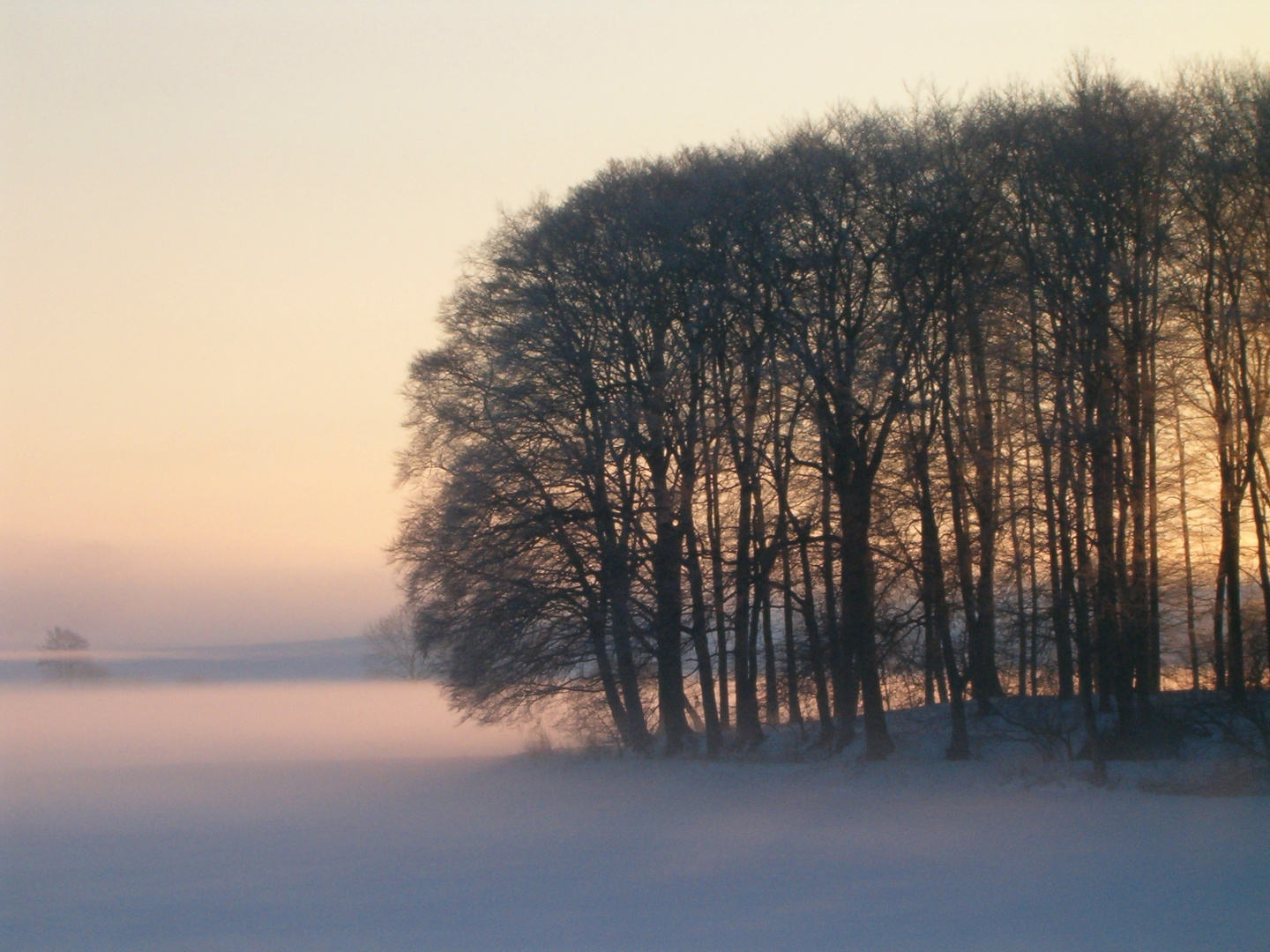 Winternebel