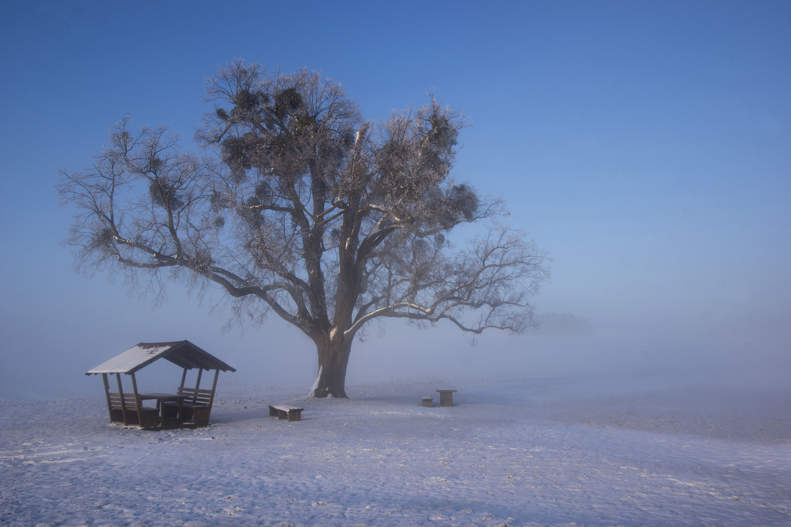 Winternebel