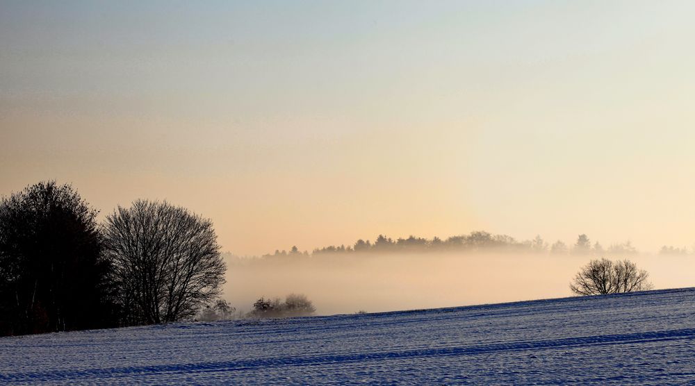 Winternebel