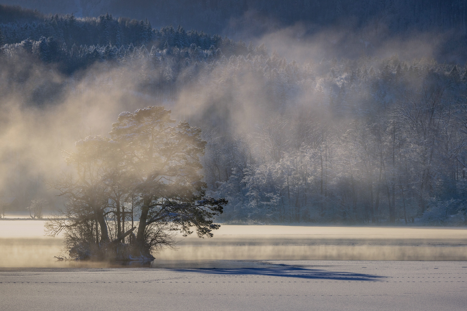 ~ WINTERNEBEL ~