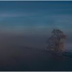 Winternebel