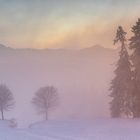 winternebel