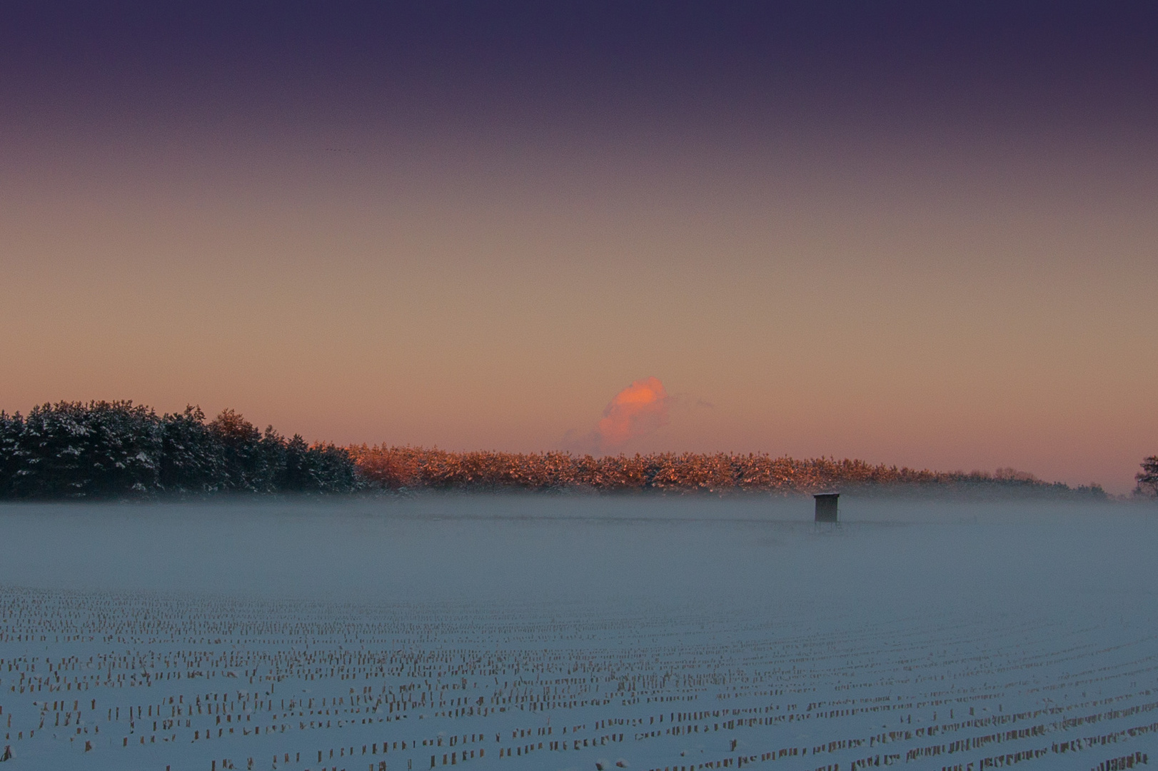 Winternebel