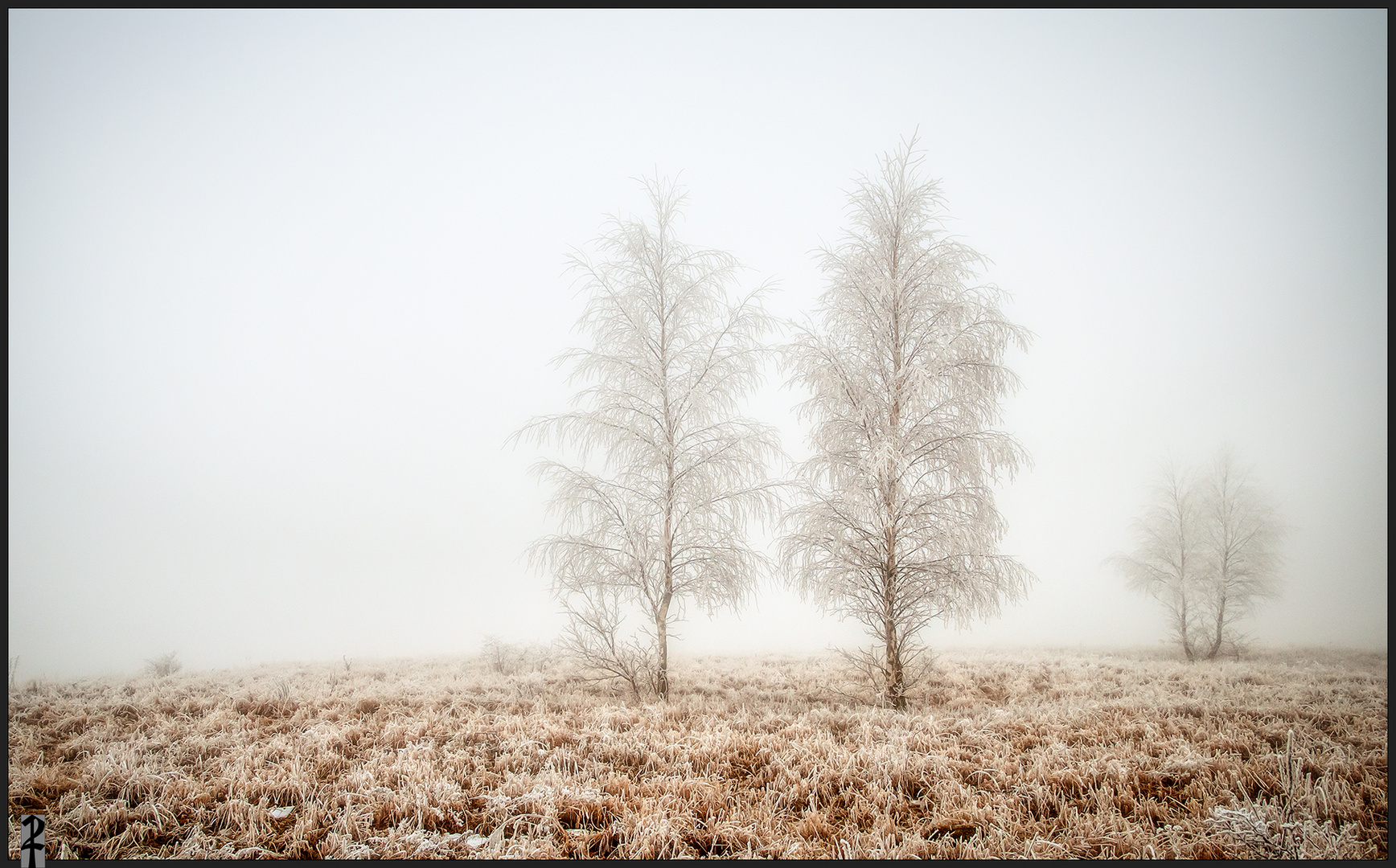 Winternebel