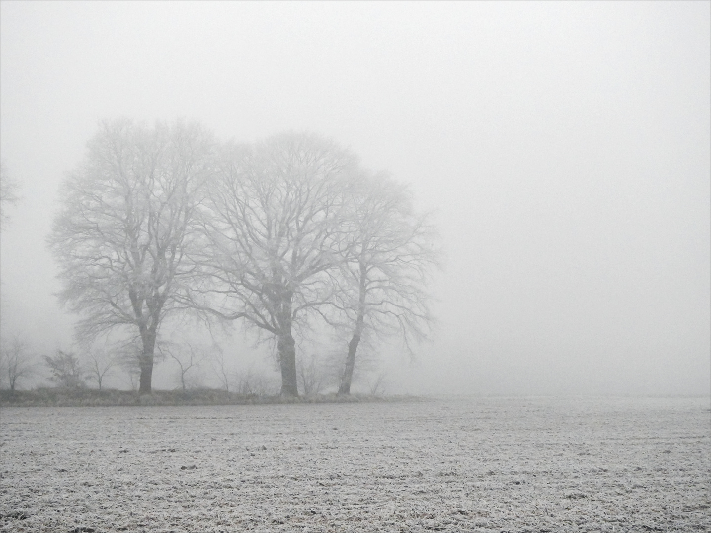 Winternebel