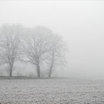 Winternebel