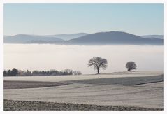 Winternebel