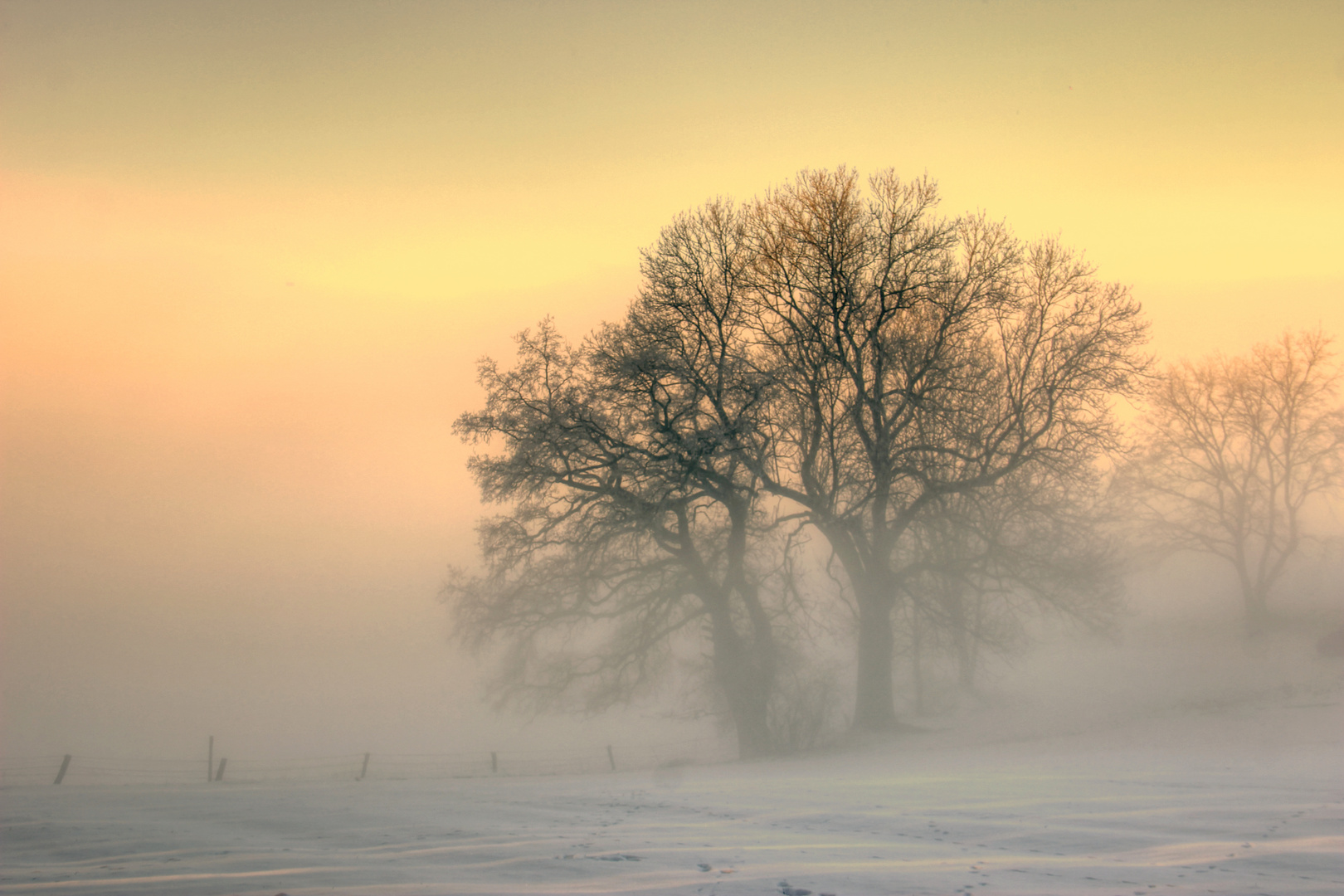 Winternebel