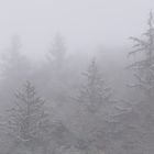 Winternebel