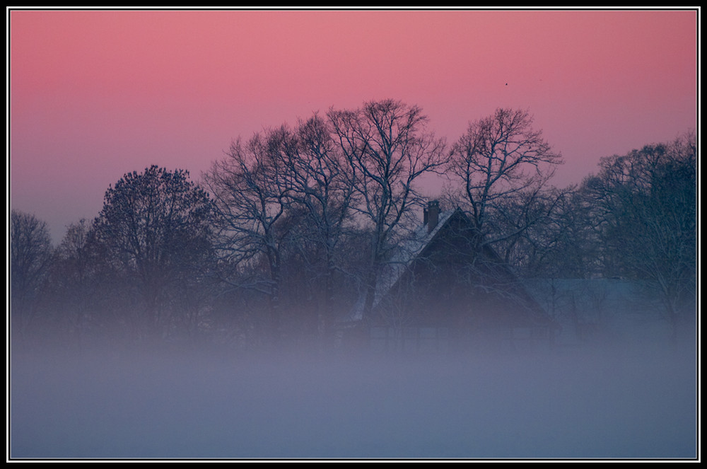 winternebel