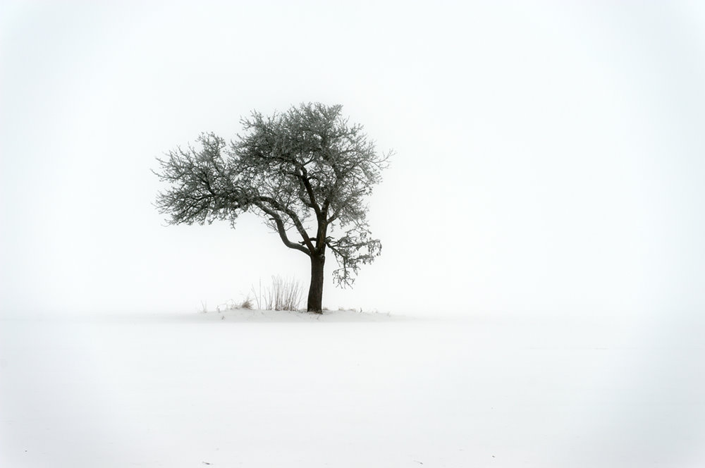 Winternebel