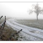 WinterNebel