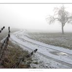 WinterNebel