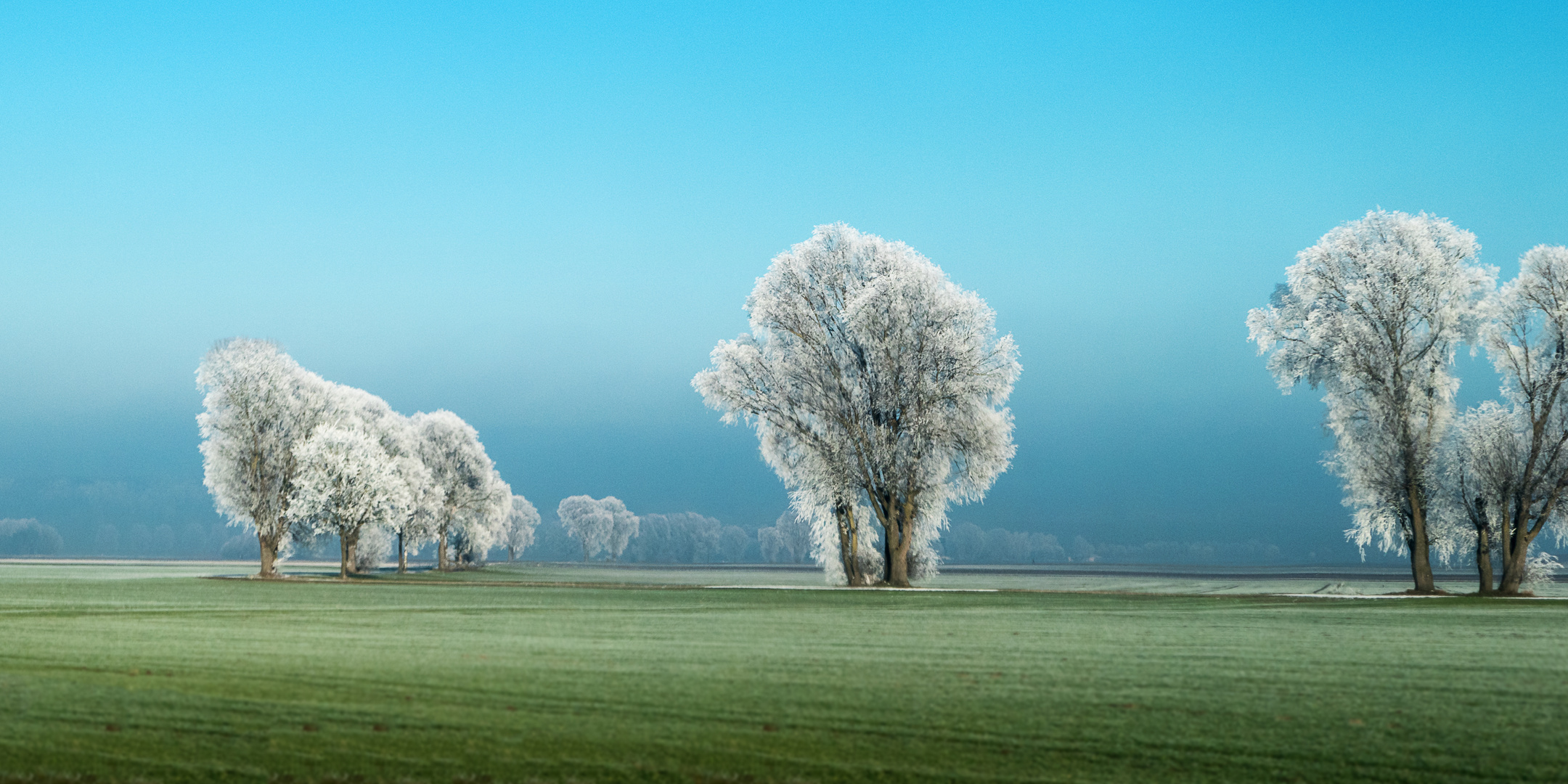 Winternebel