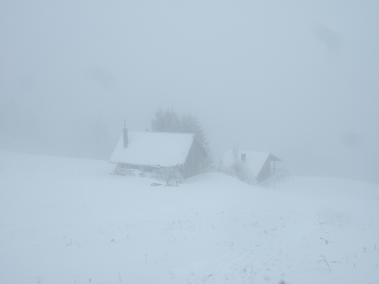 Winternebel am Herndleck