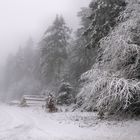 Winternebel am Rennsteig