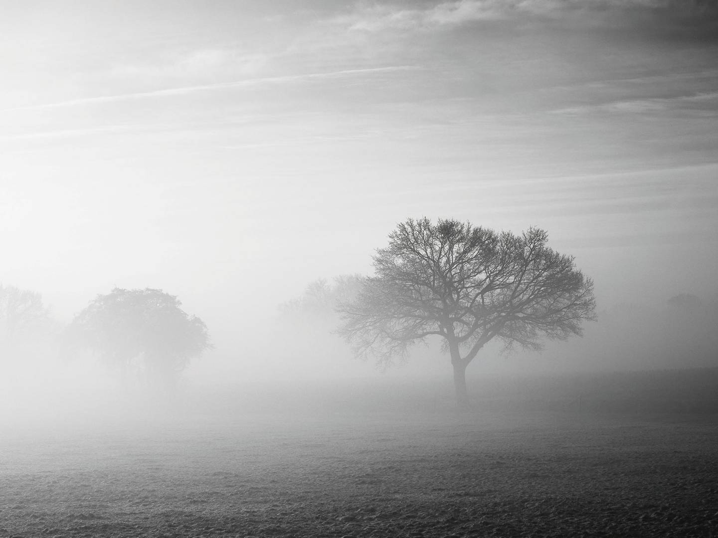 Winternebel an der Hunte