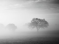 Winternebel an der Hunte