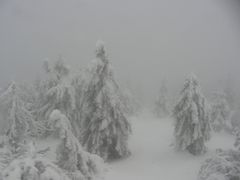 Winternebel auf dem Brocken