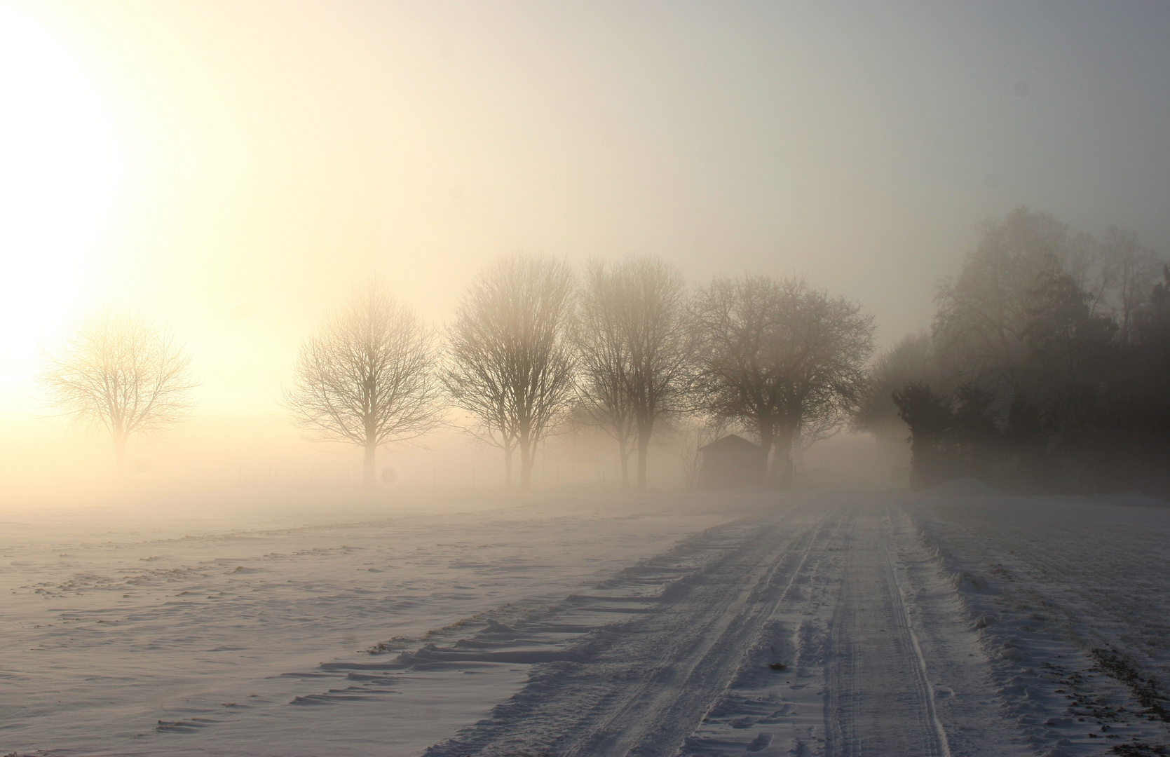 Winternebel