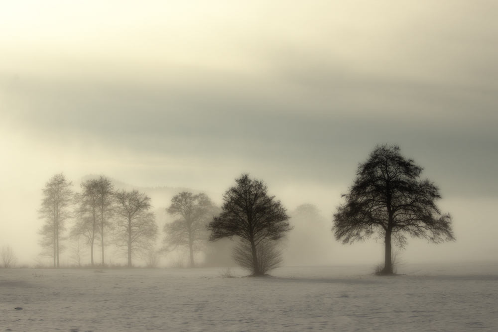 Winternebel