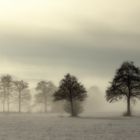 Winternebel