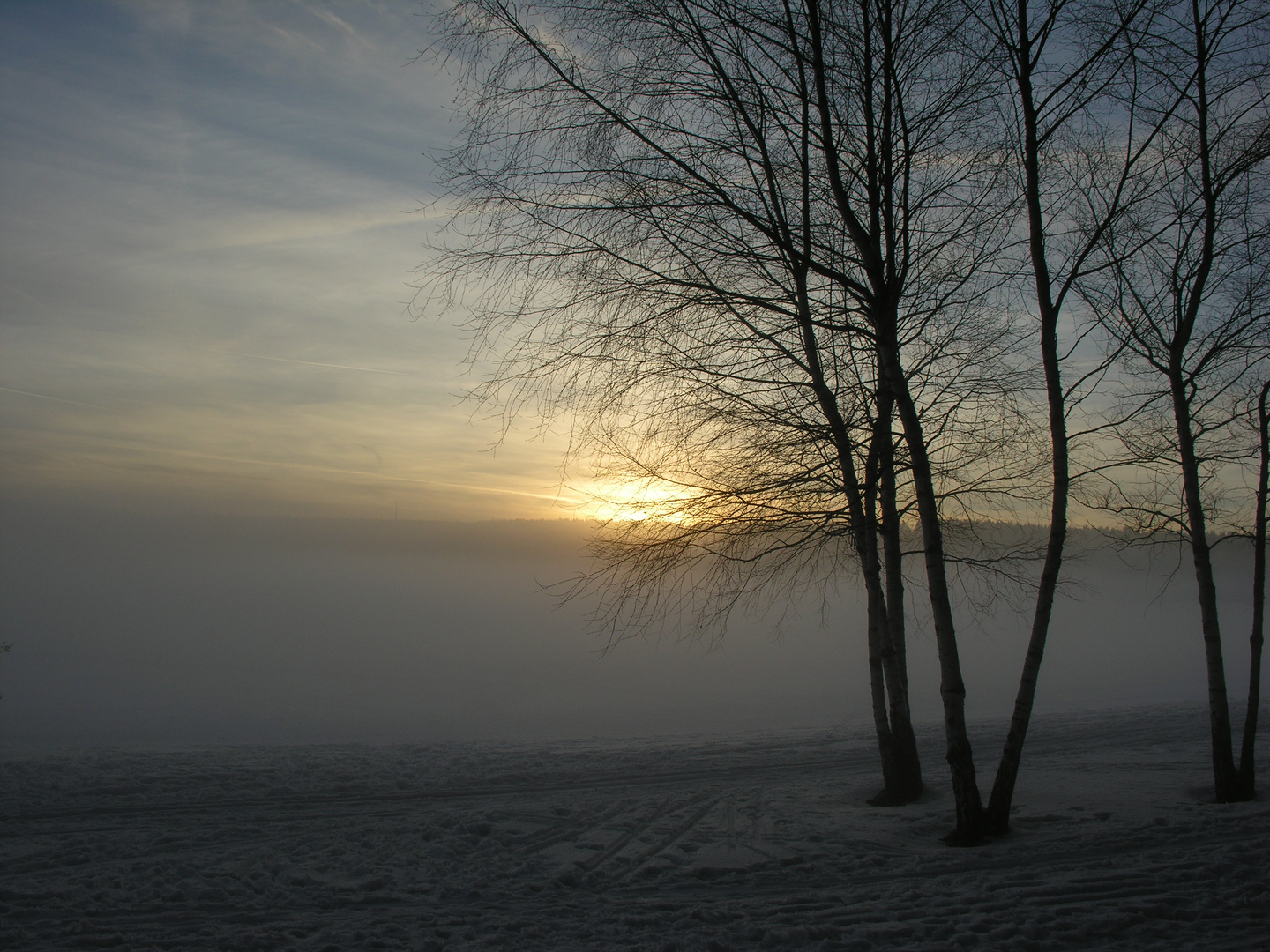 winternebel