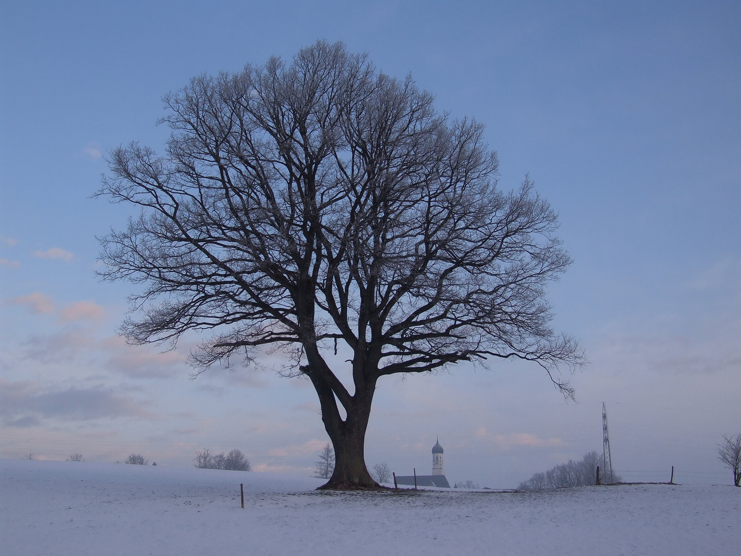 Winternebel