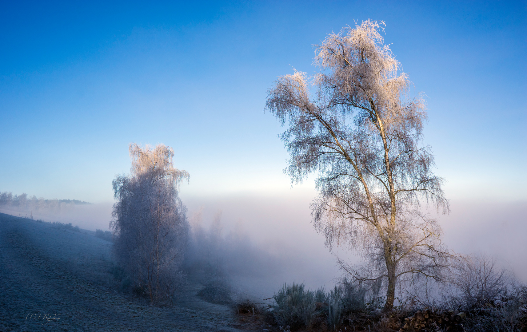 winternebel 