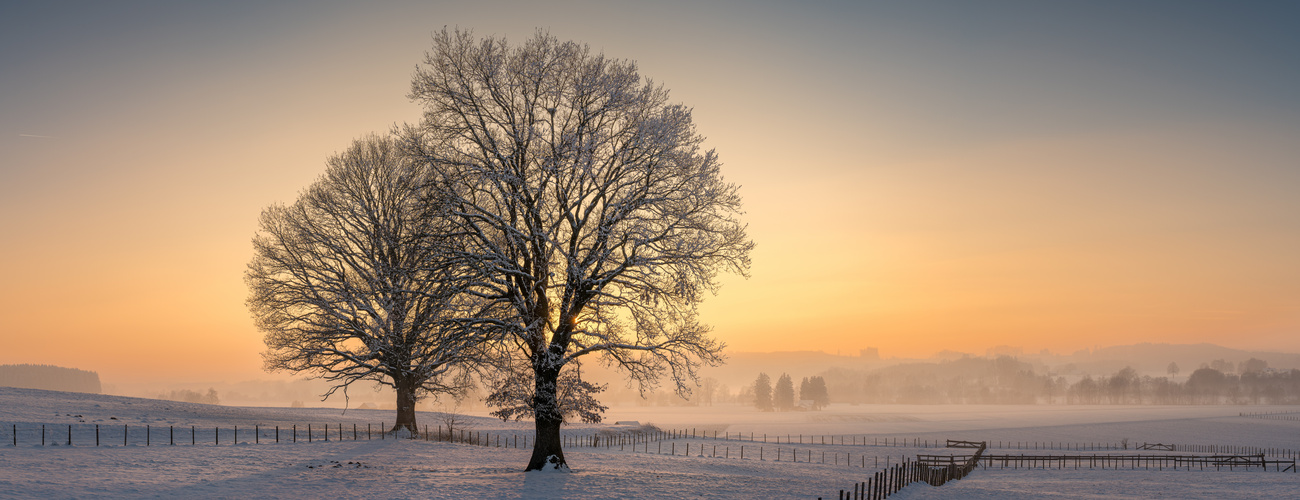 Winternebel