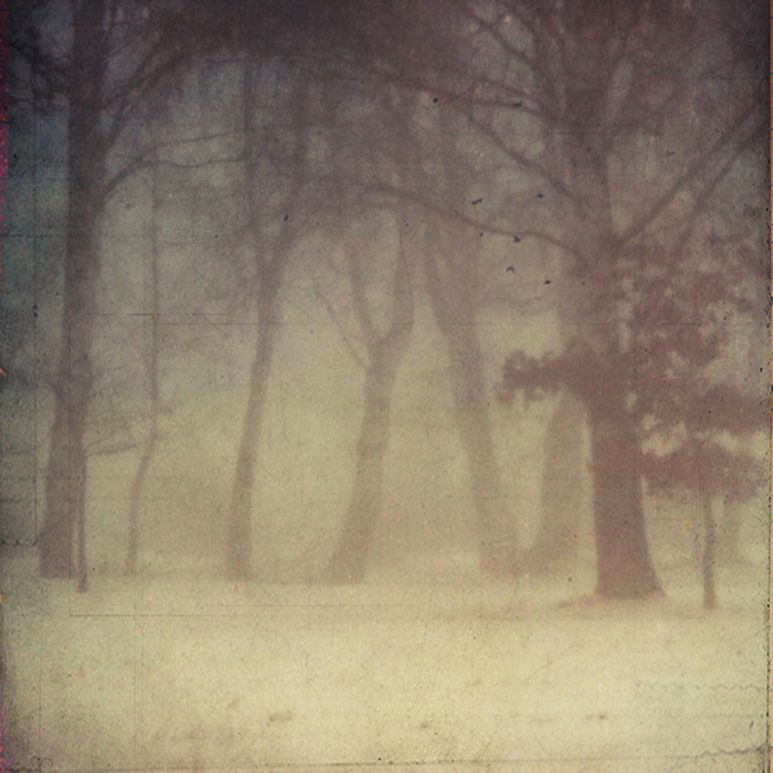 .Winter|Nebel