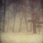 .Winter|Nebel