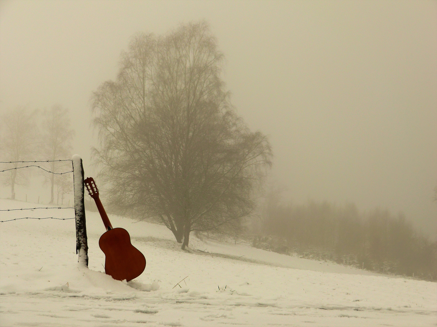 Winternebel