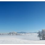 Winternebel