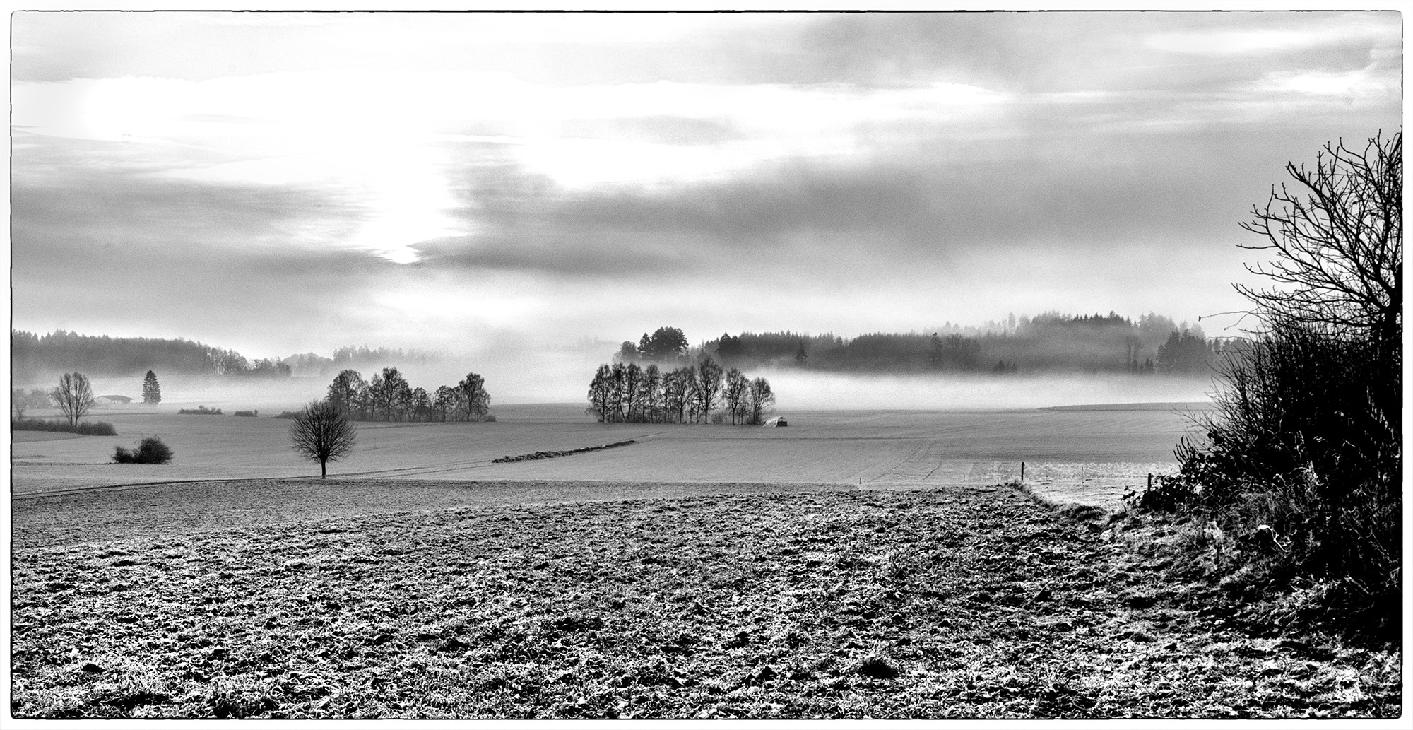 Winternebel