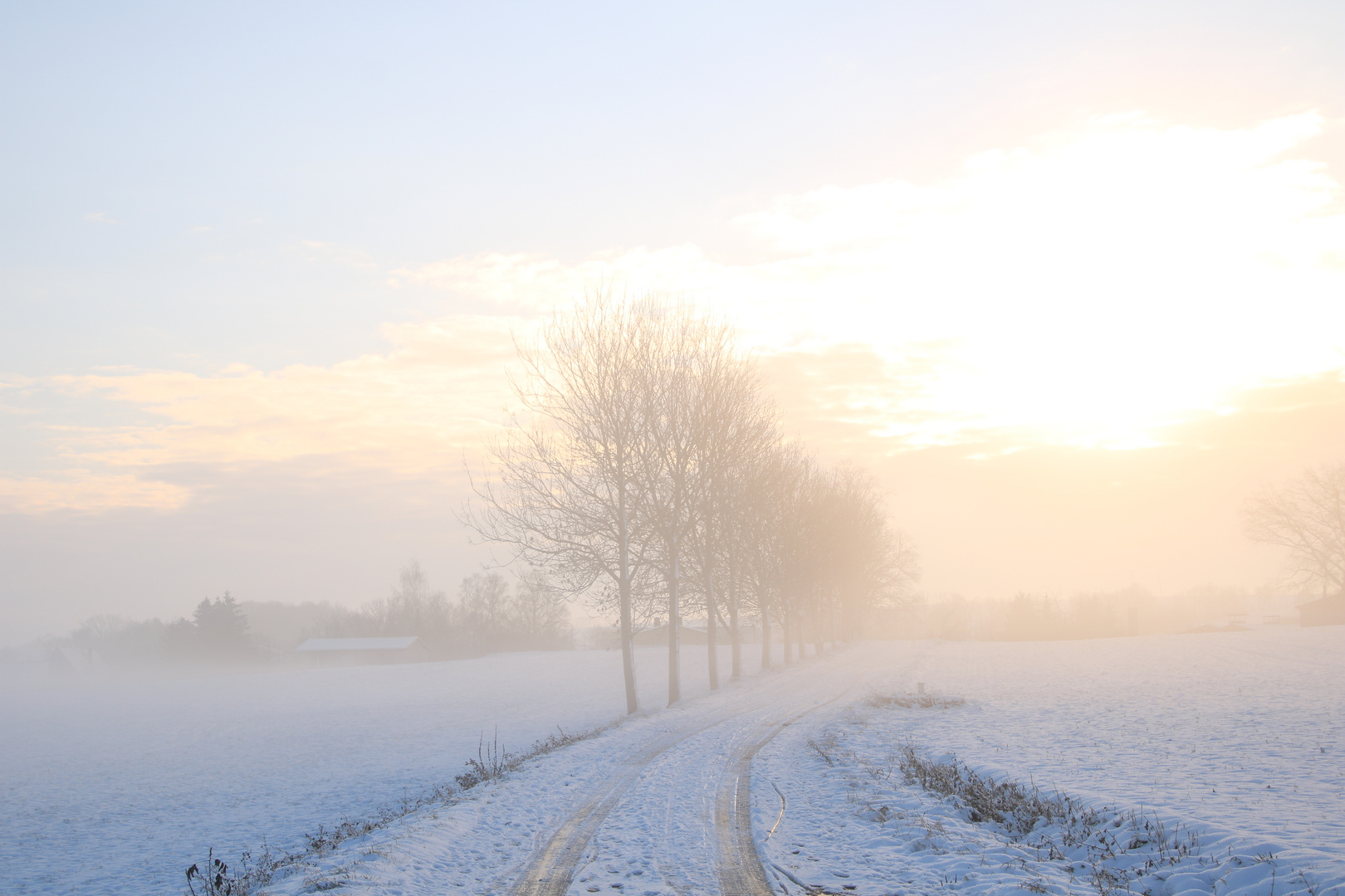 WinterNebel 