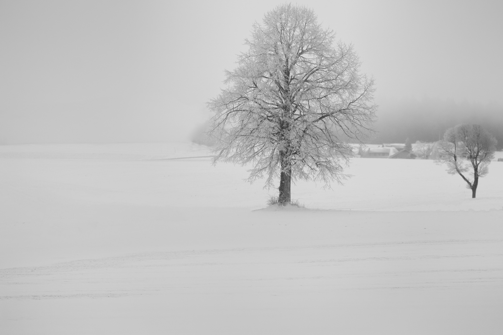 Winternebel