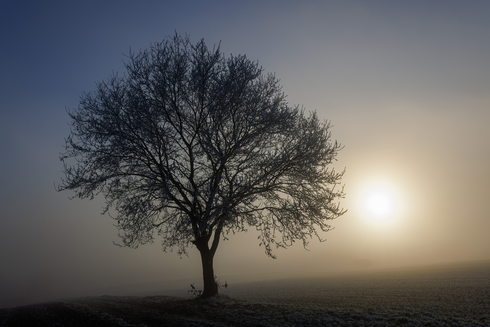 Winternebel