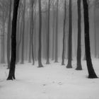 Winternebel