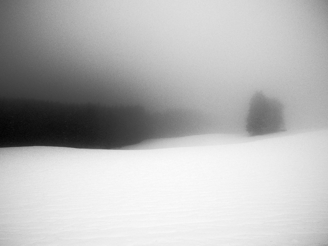 Winternebel