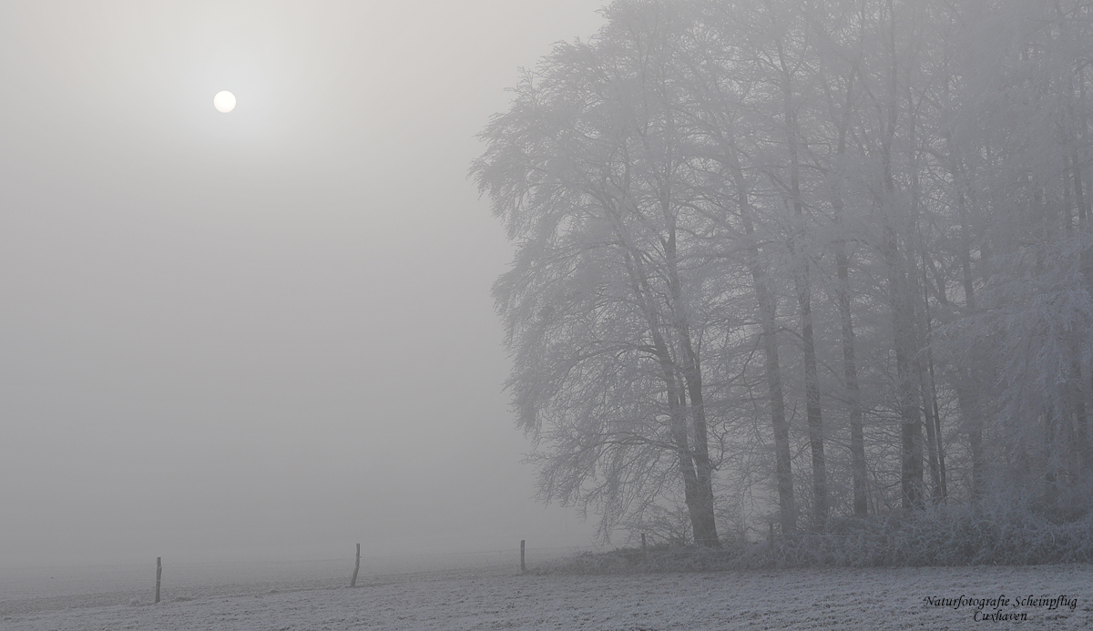 Winternebel